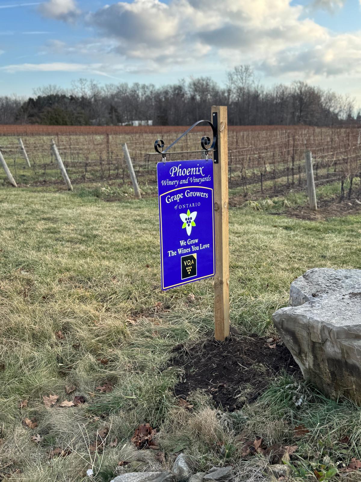 phonex-winery (2)