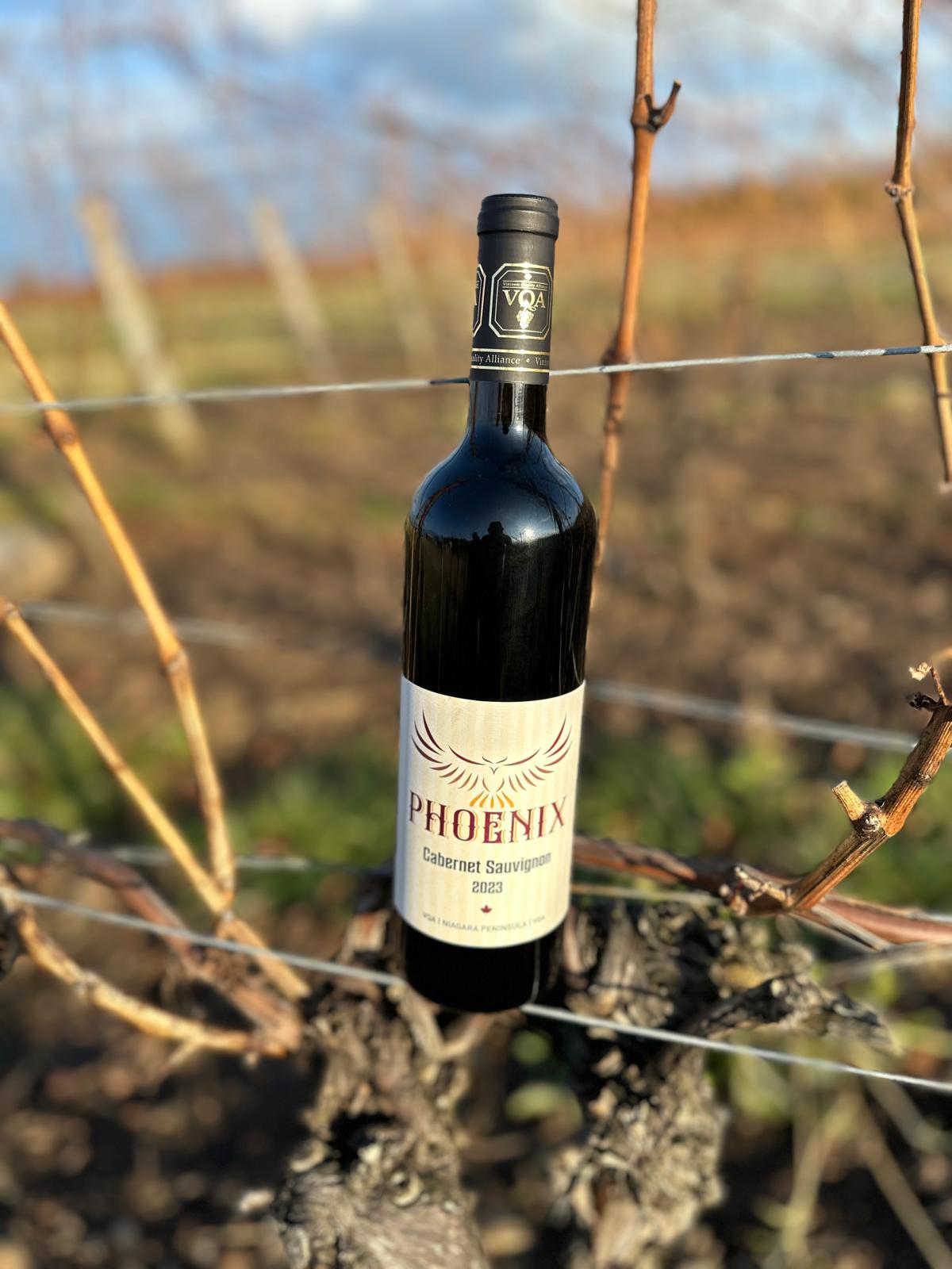 Cabernet Sauvignon - Phoenix Winery